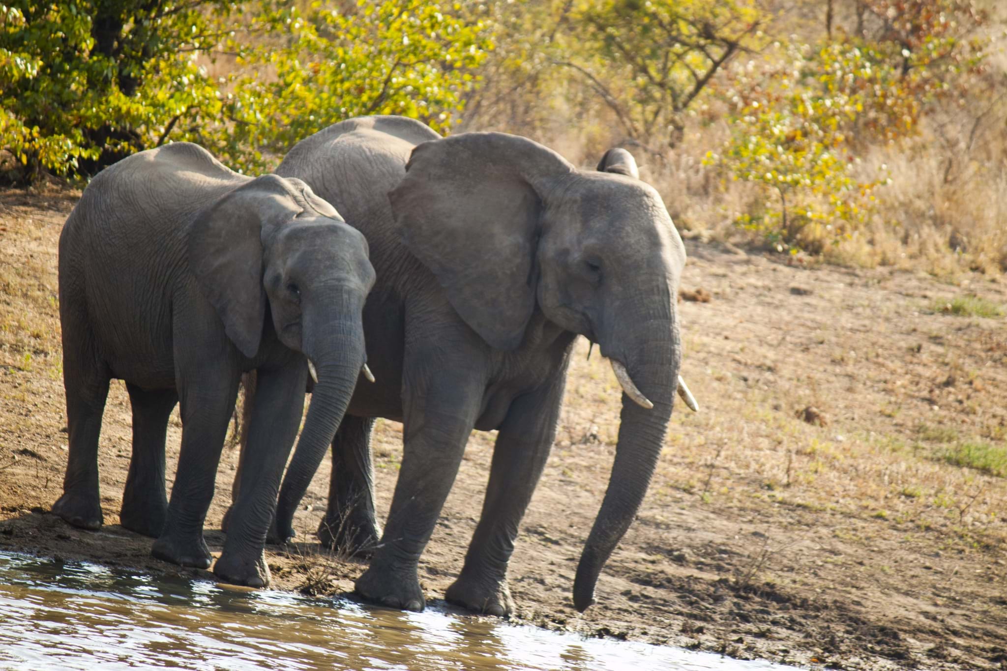 The Ivory Route, bordering Botswana, Zimbabwe and the northern reaches