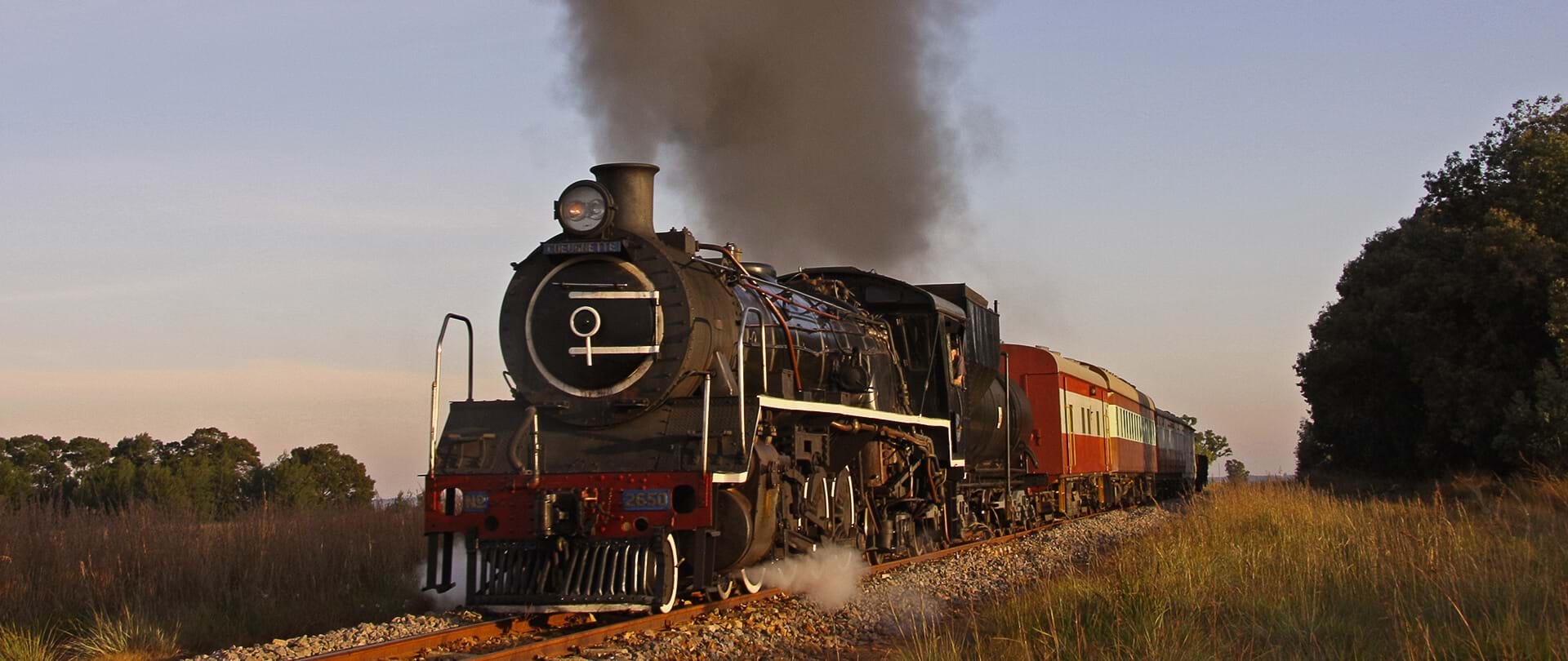All Aboard the Tshwane Explorer | Steam Train Trips (ZW)