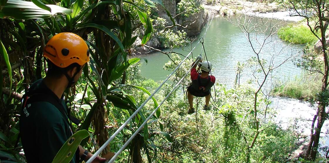 magoebaskloof canopy tours services
