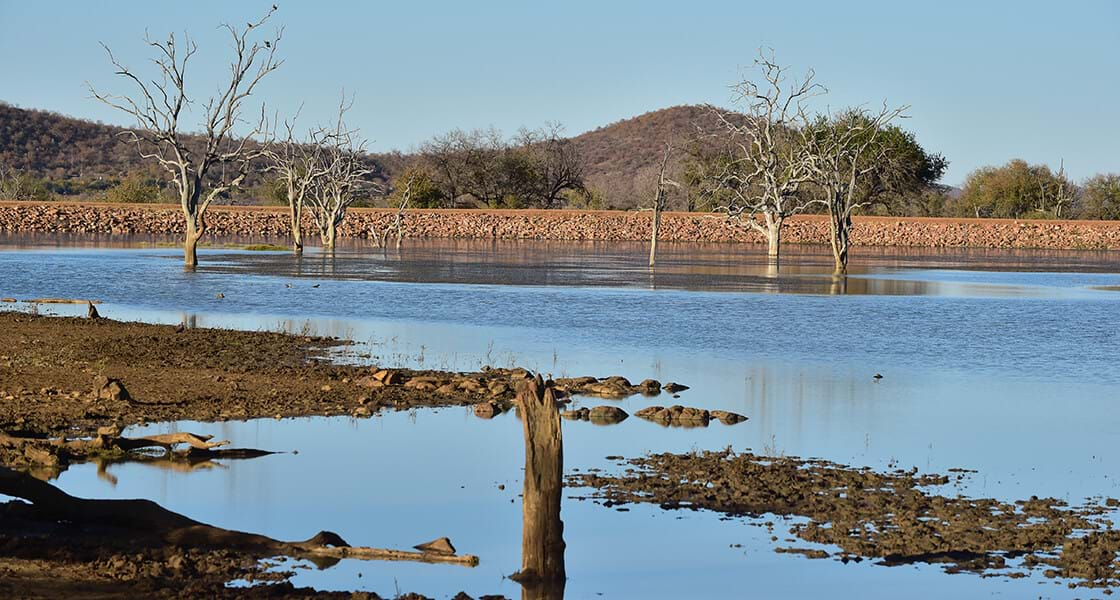 Madikwe Game Reserve In The North West Offers Birdwatching That   Madikwe 7 