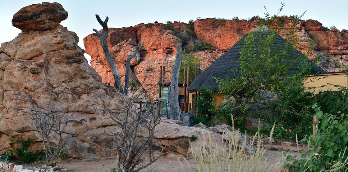 The King Of Mapungubwe