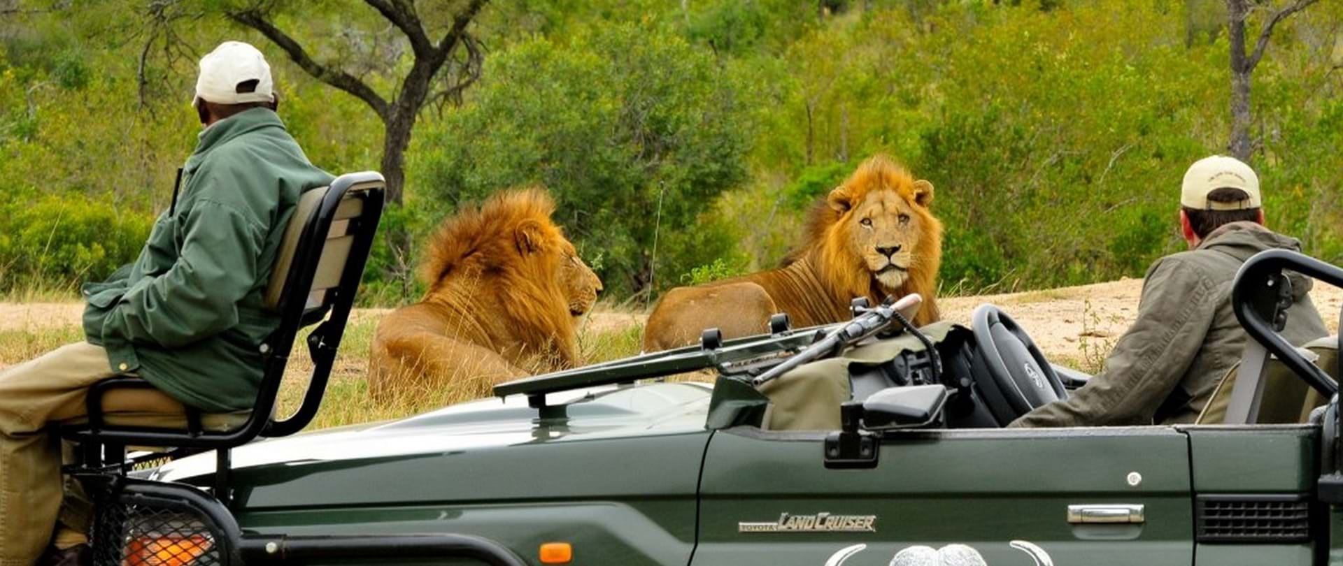 South African Forest Ranger Ranks What Is The Difference Between A Safari Guide And A Game Ranger – SXEO