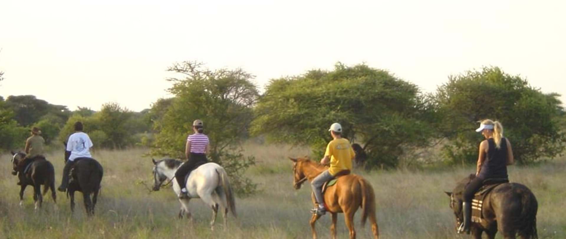 Experience the Best of the Outdoors at Polokwane Game Reserve (GL)