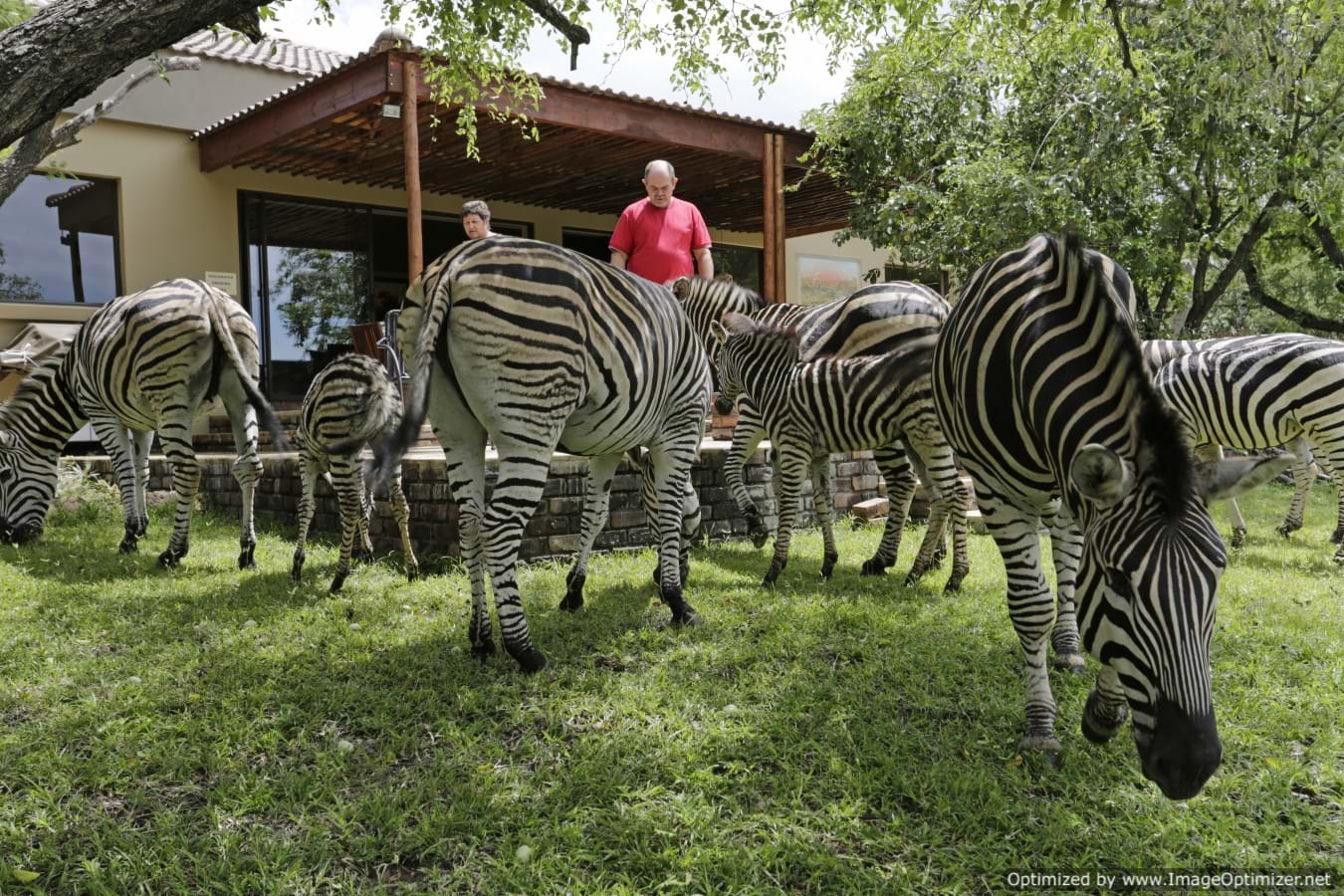 Turaco Lodge | Mpumalanga (GL)