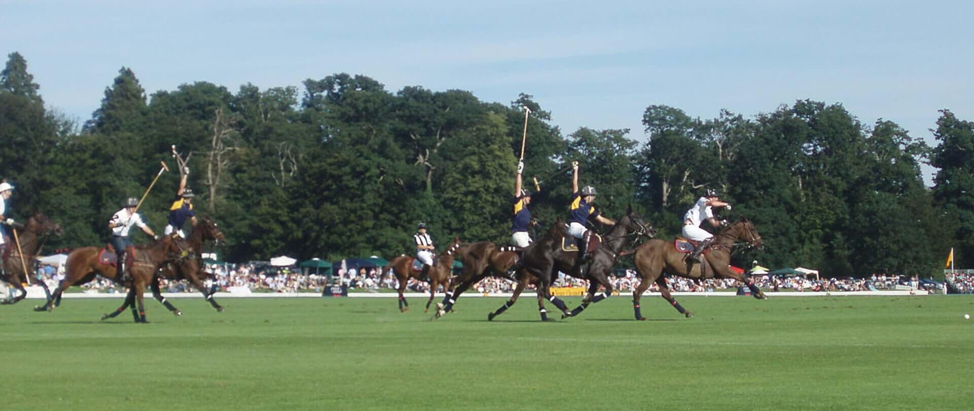 Veuve Clicquot Masters Polo Entertainment Attractions Animals