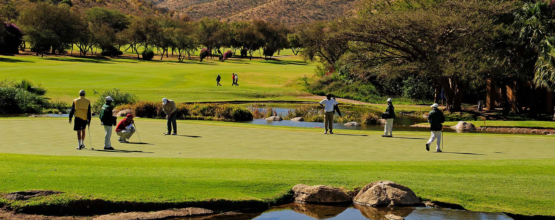 Nedbank Golf Challenge (DE)