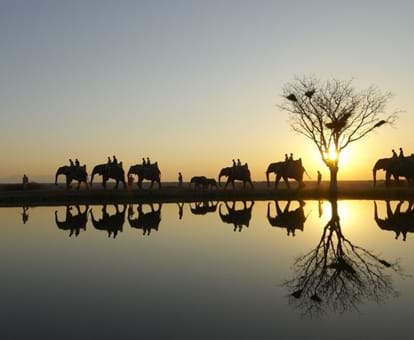 Camp Jabulani Pty Ltd Limpopo Gl Camp Jabulani Pty Ltd Limpopo Gl