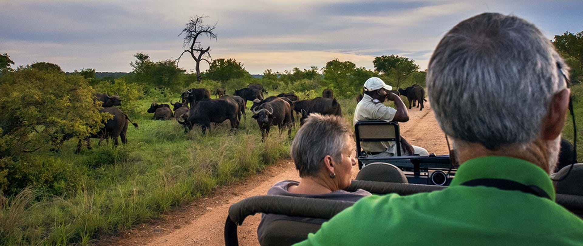 ZuluWaters Game Reserve in the KwaZuluNatal Midlands offers game