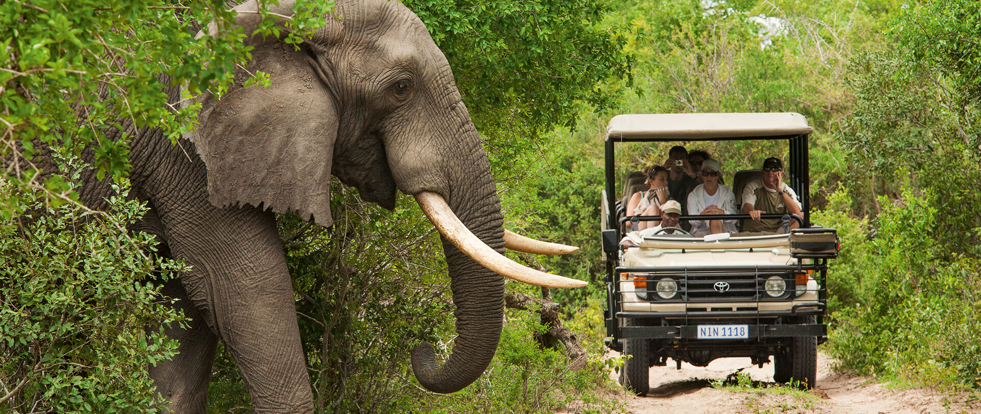 The Kruger National Park A Safari Destination You Can t Miss GL The Kruger National Park A Safari Destination You Can t Miss GL
