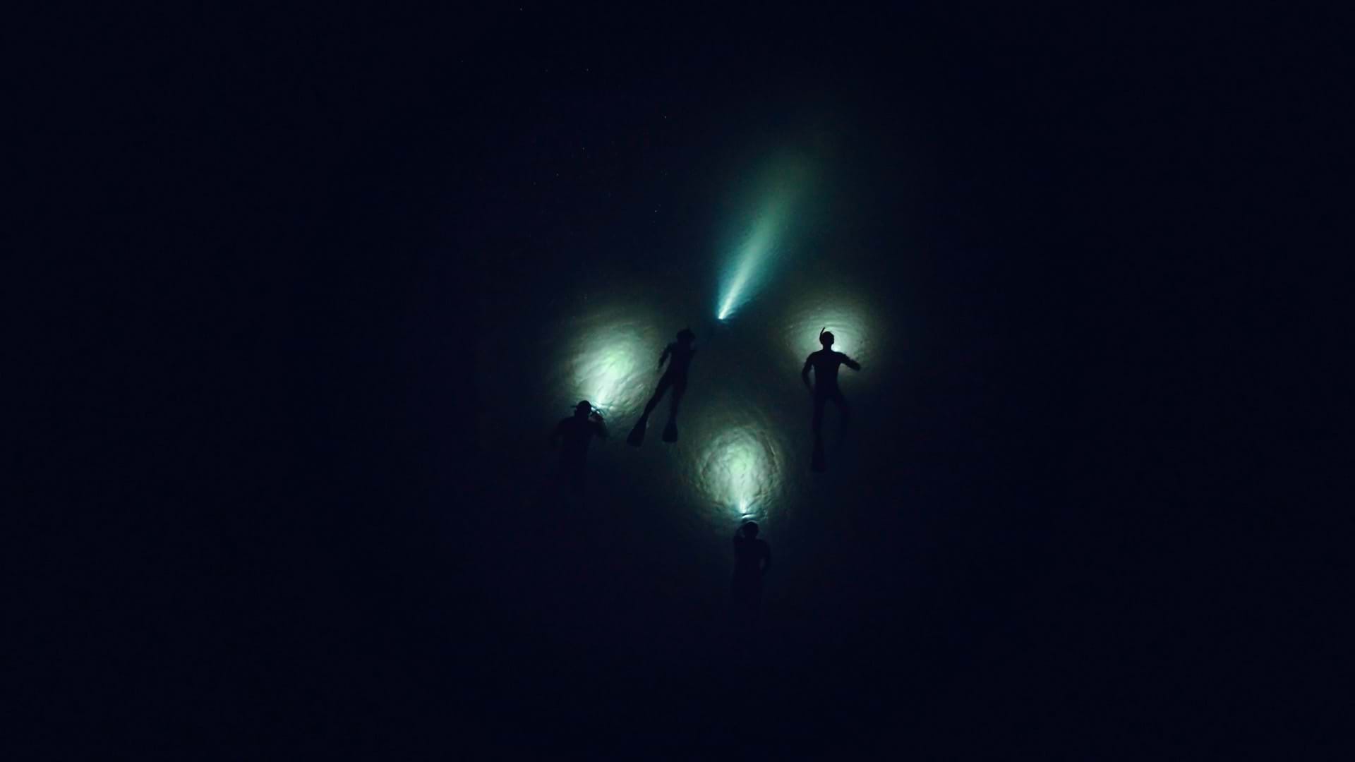 Tip 6: Night snorkeling