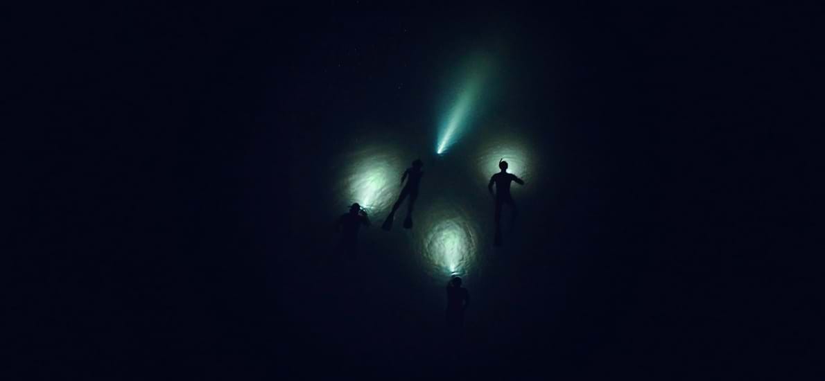 Tip 6: Night snorkeling