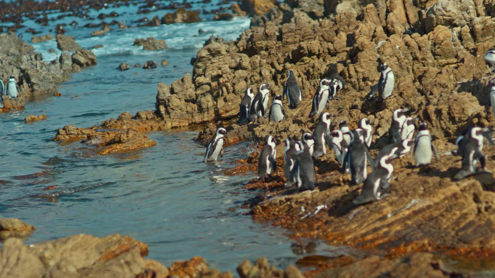 Tip 5: Stony Point Reserve